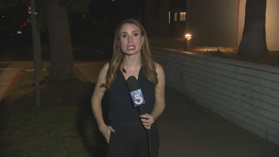 'I knew it was on me': KTLA reporter powers through live report as cockroach crawls on her
