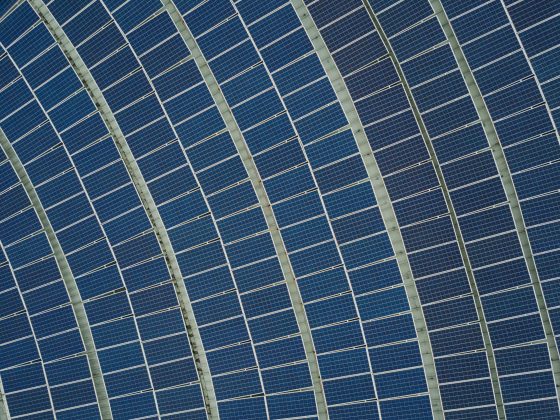 Statul pompează 265 de milioane de euro nerambursabili în industria agricolă, pentru investiții în energie regenerabilă