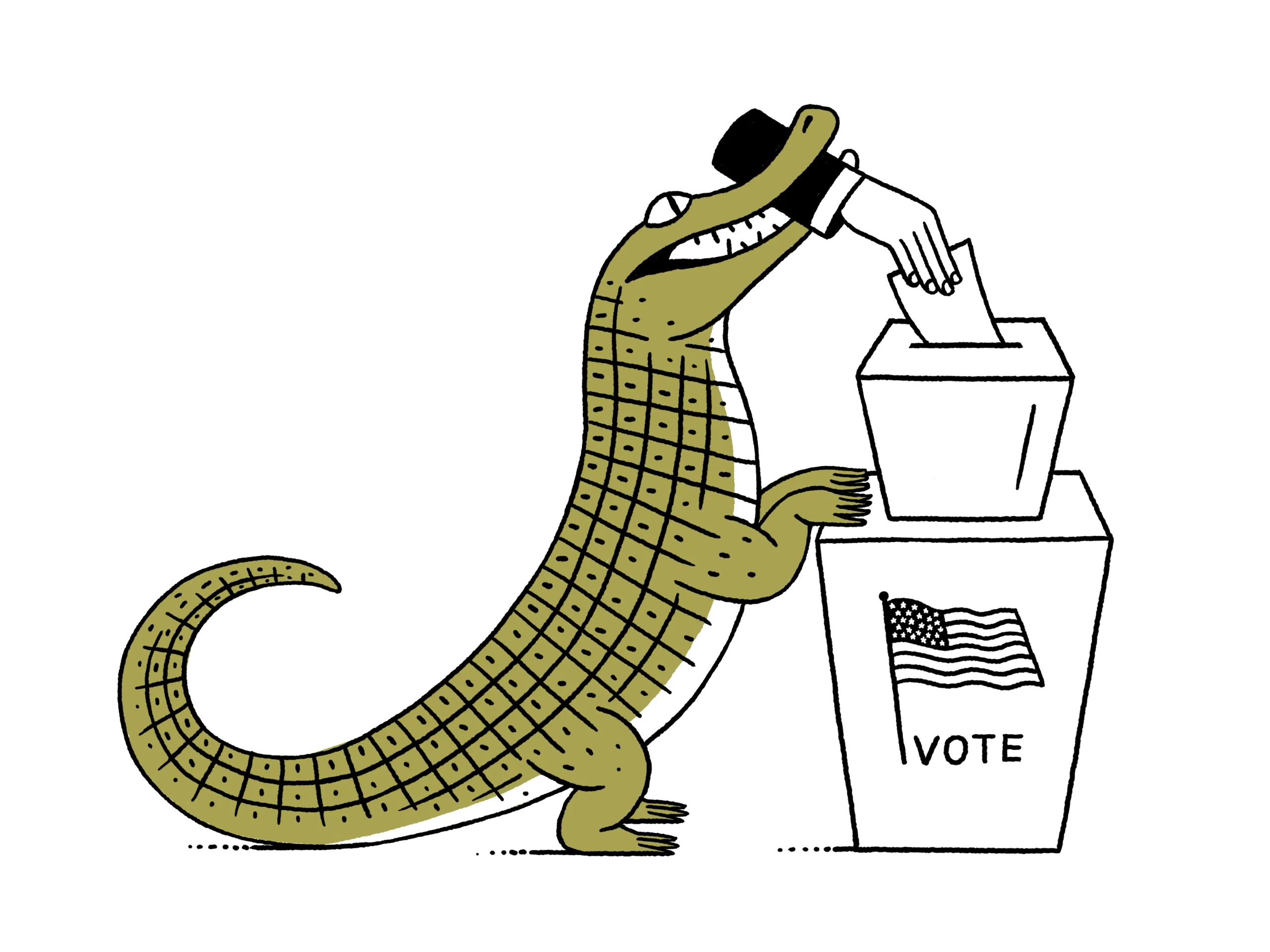 Voting Rights, Updated