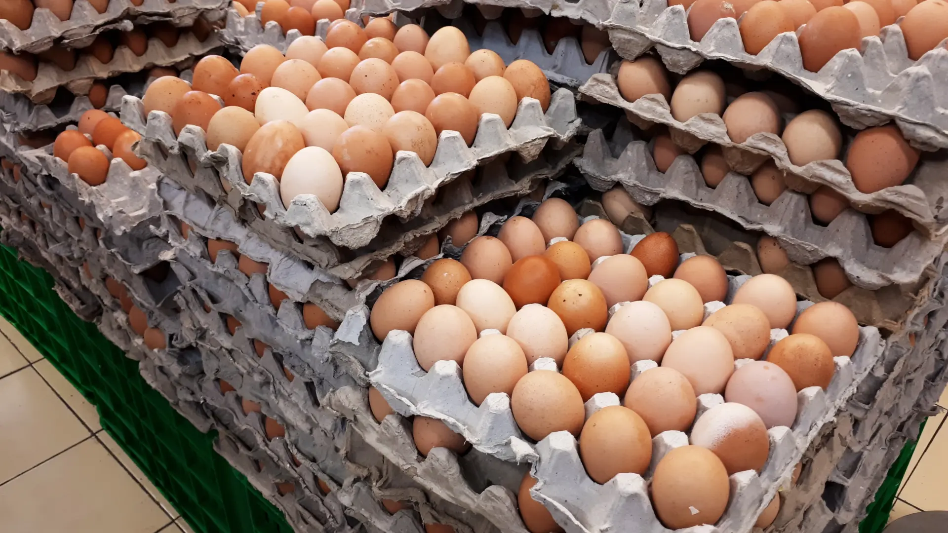  Comer huevos al menos cinco días a la semana se asocia a menor riesgo de padecer alzhéimer 