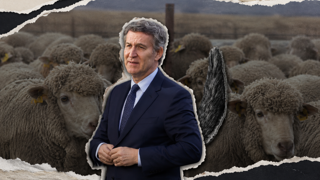 Vídeo | Votar al lobo: cuando la clase trabajadora compra el discurso de quienes la quieren más débil