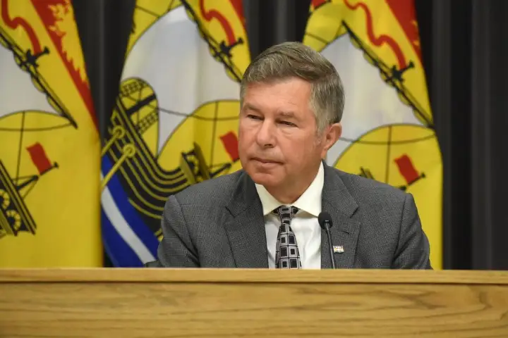 New Brunswick vows improvements to virtual care after criticism of new provider