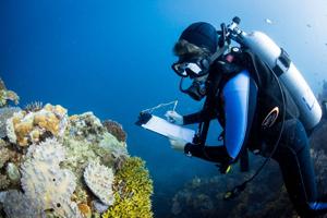 Take coral bleaching off your list of things giving you environmental dread
