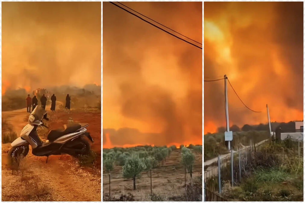 "POŽAR JOŠ NIJE POD KONTROLOM" Vatrogasci celu noć branili kuće na Dugom otoku, stigli kanaderi (VIDEO)