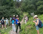 A family group walking holiday in Exmoor: steam trains, tree climbing and lashings of ice-cream