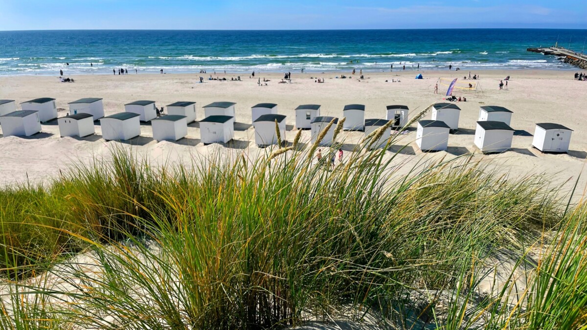 Alle kan få et ikonisk badehus: Afviser krav om at bo i Nordjylland