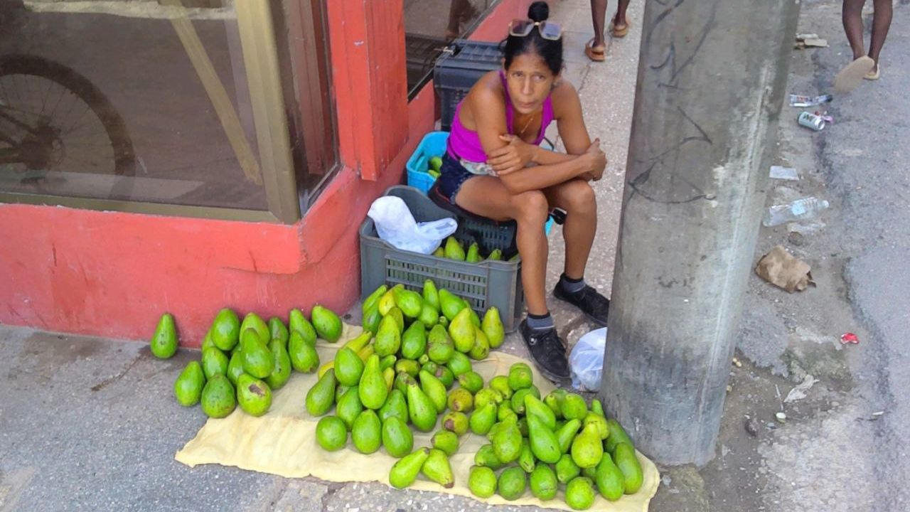 Hoy, dependiendo del tamaño, la calidad y el lugar donde se compre, un solo aguacate puede alcanzar hasta 600 pesos.