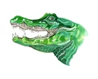 How many teeth do caiman have and what makes cats purr? The kids’ quiz