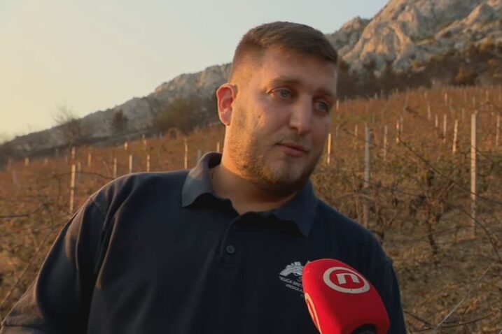 Vatra mu u sat vremena uništila 25 godina rada u vinogradu. “Nova berba moguća za 7 godina”