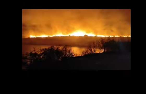 Crna kronika − Gori i Dugi otok: Stigli kanaderi, vatrogasci brane kuće
