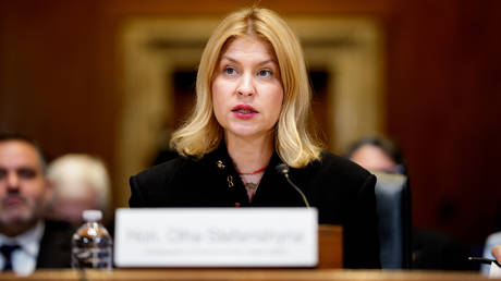 Ukraine’s US envoy to quit amid corruption probe – FT