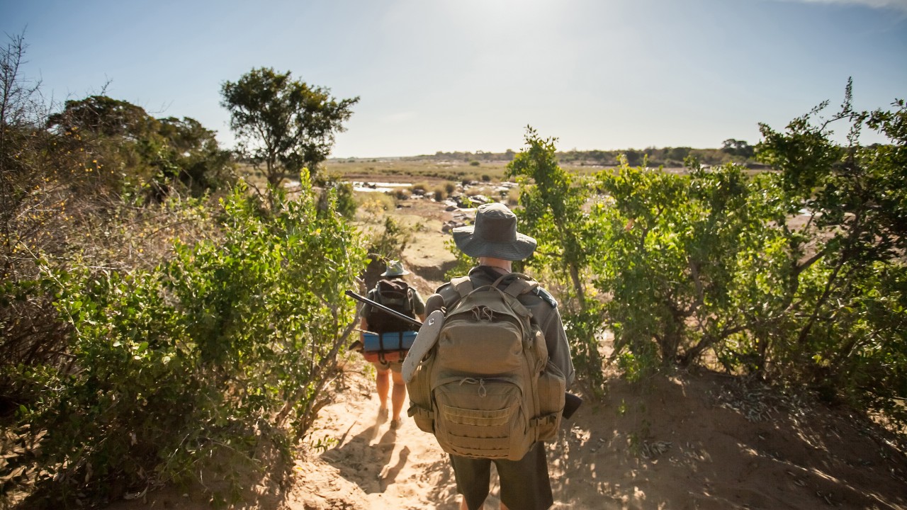 2 tourists killed in South Africa’s Kruger National Park, police say