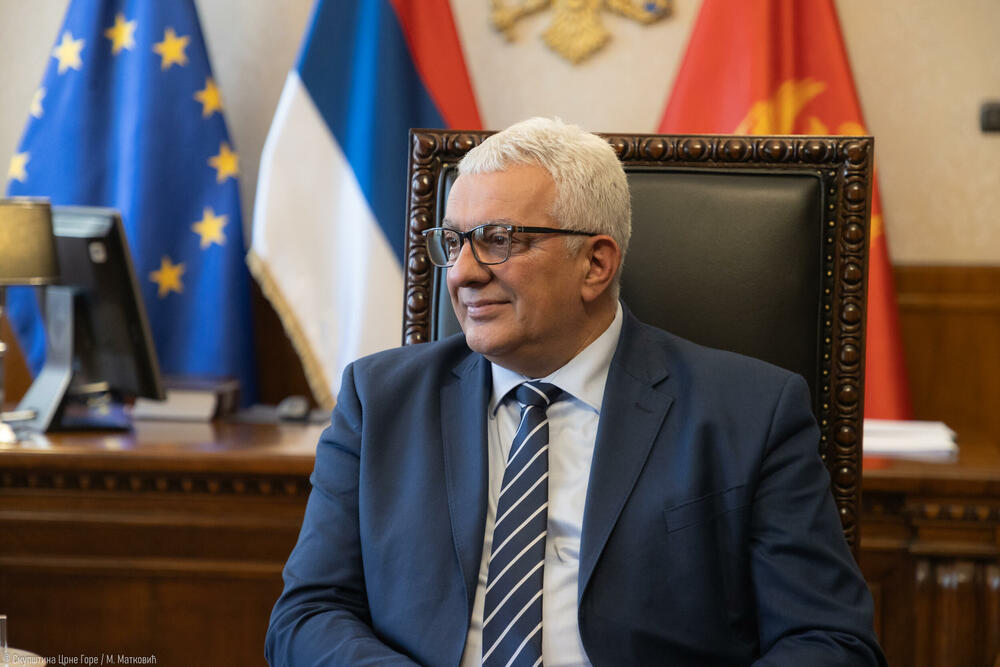 Mandić: Iza odluke stoji Kurti, i poslanici albanskih partija...
