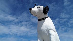 Nipper, stay! The future of a beloved dog statue on a New York warehouse is up in the air