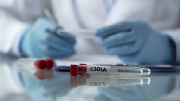 Cabo Verde reforça vigilância e prevenção contra a ébola