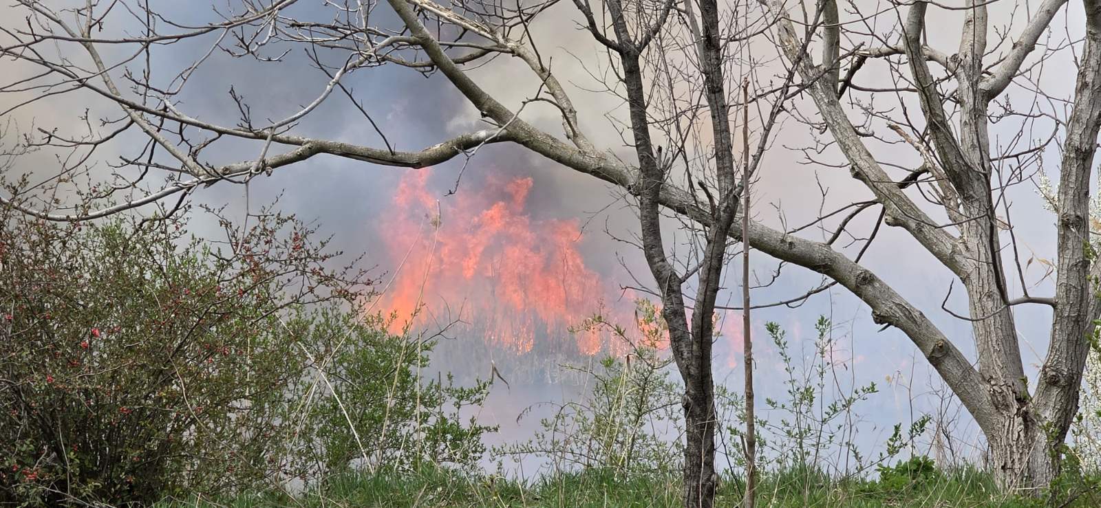 Ljudski faktor i dalje glavni uzrok požara na otvorenom u opštini Bečej