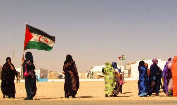 المحامون الأوروبيون يدينون الانتهاكات المغربية ضد الحقوقيين الصحراويين