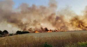 Incendiu la Curtici: zeci de hectare de grâu sunt în flăcări