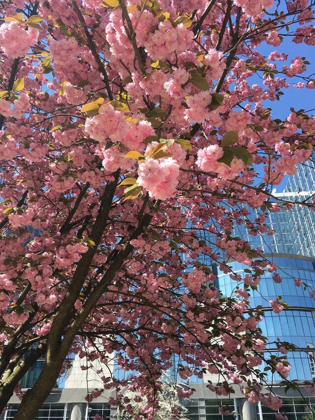 🇪🇺ЕС отблизо: Обща отбрана на принципа на "Шенген", ЕК иска да пестим от ток и петрол