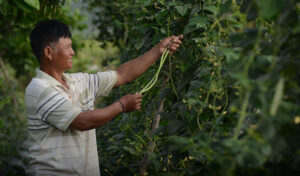 Displaced families put down roots, find hope in ‘Waiting Village’