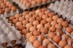 Nueva York evalúa supermercados municipales en medio de críticas
