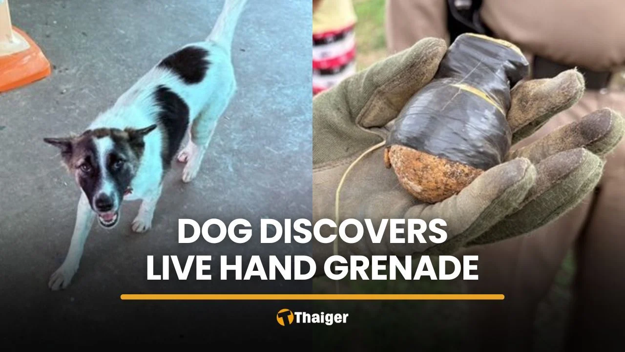 Pet dog unknowingly carries live hand grenade to Sisaket home