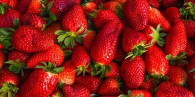 Kako pravilno oprati jagode? Očistite ih od pesticida za tren - 1 sastojak je ključan