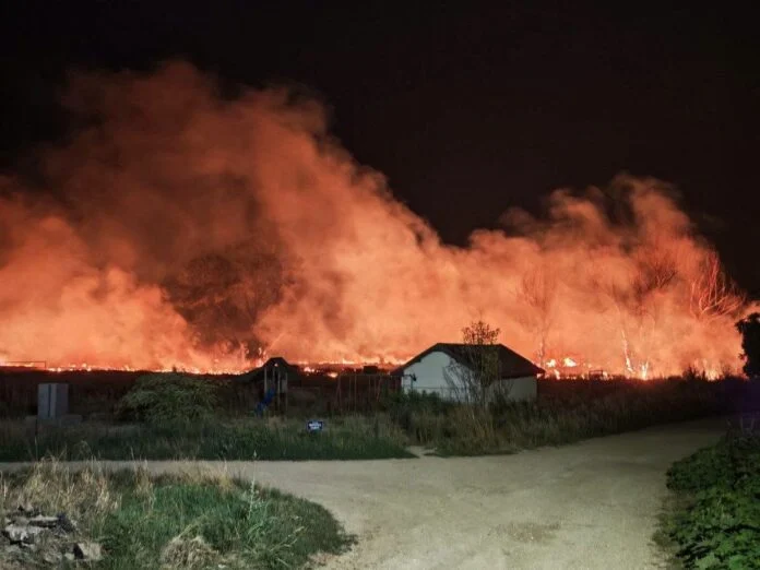 Tri požara za tri dana kod Leskovca, nadležni apeluju na građane da ne pale nisko rastinje i otpad