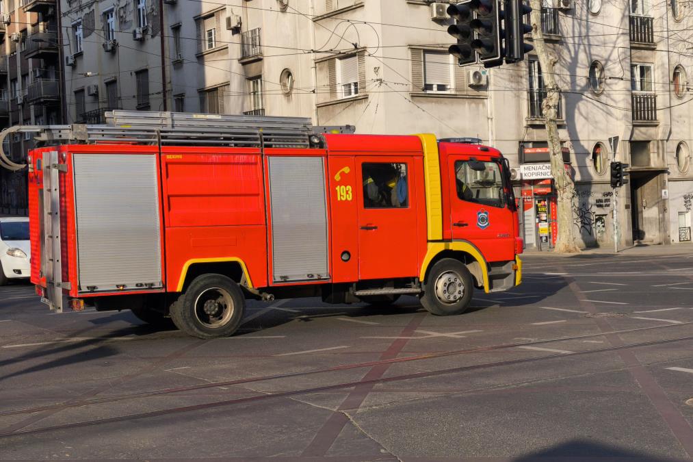 NA GLAVI KACIGA, U RUKAMA NI 5 KILOGRAMA! Hrabra akcija vatrogasaca u Kisaču: Spasili nesvakidašnje aktere požara (FOTO)
