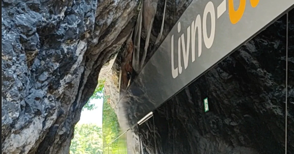 Putnici objavili video nesvakidašnje nesreće autobusa u BiH
