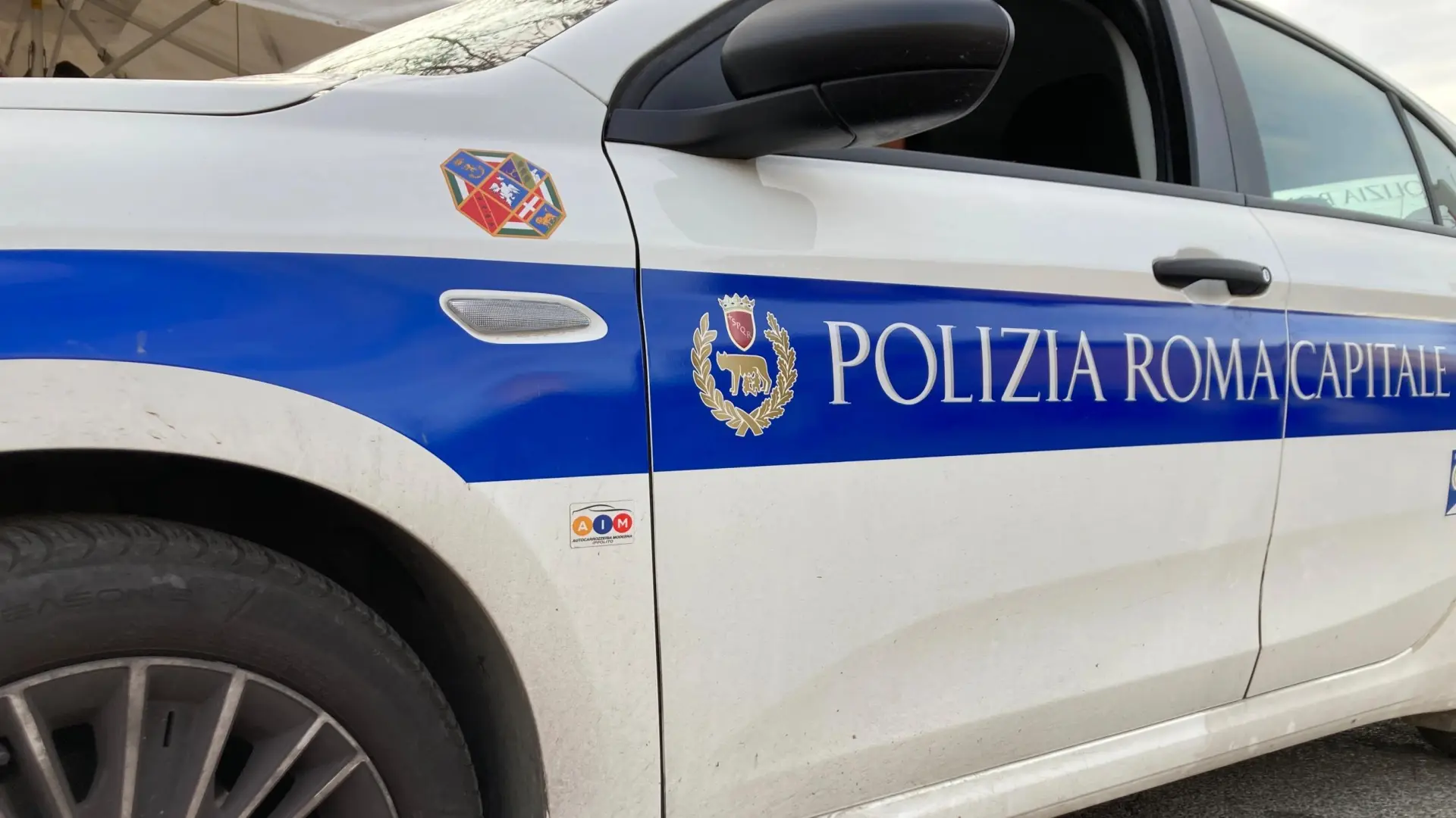  Tres heridos después de que unos 30 caballos hayan escapado asustados por Roma 
