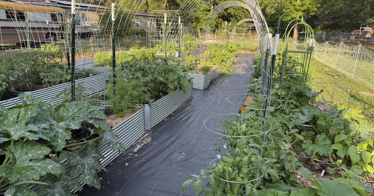 Fighting for Food Freedom: A Georgia Farmer’s Stand Against Bureaucratic Overreach