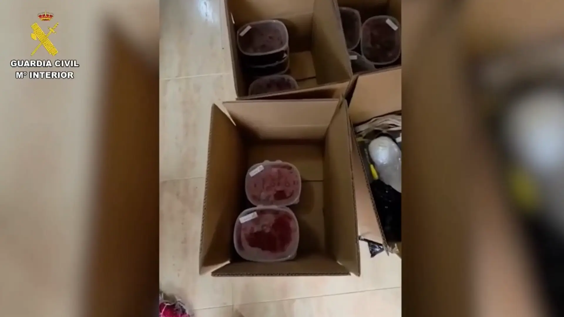  Desmantelado un laboratorio clandestino en el que se elaboraban dulces adulterados con droga 