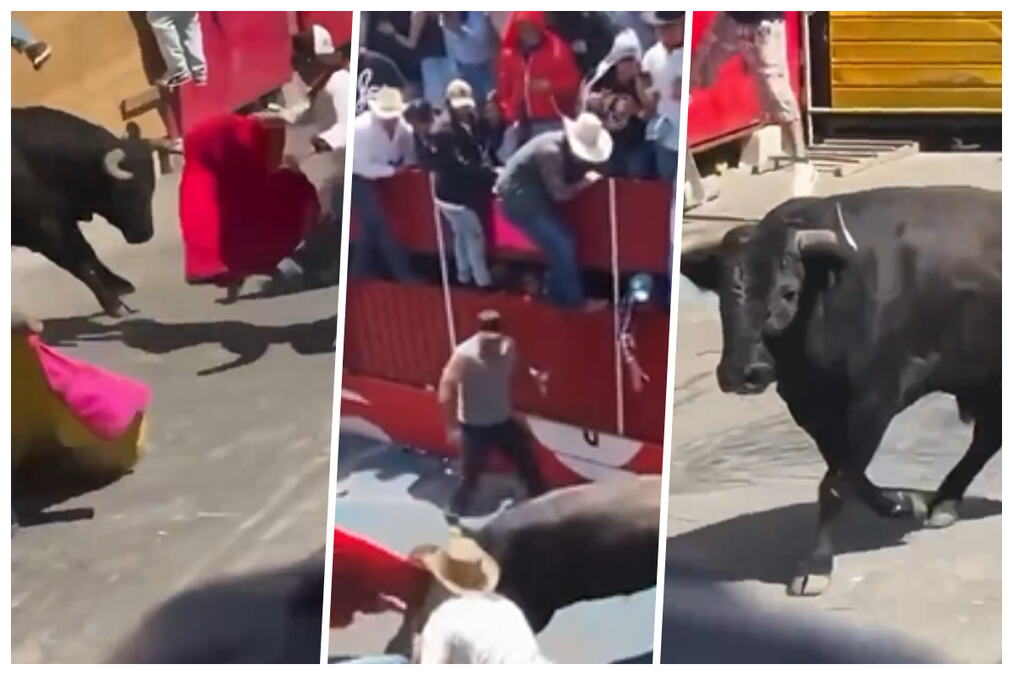 HOROR U MEKSIKU! Razjarene grdosije ubile dva čoveka, bacale ljude u vazduh, stravični krici odjekivali dok je mladić krvario po ulici, jezivi snimci (VIDEO)