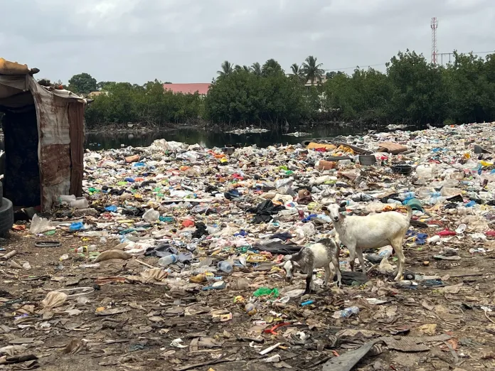 Ebo Town’s Wetland Under Threat from Illegal Backfilling and Construction