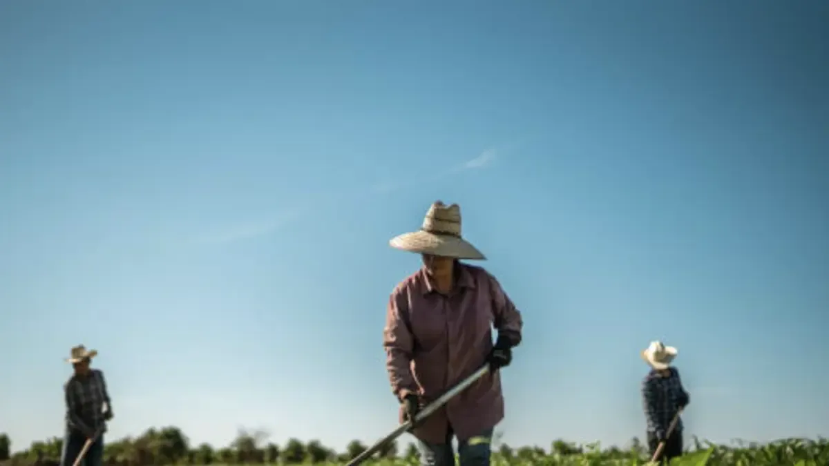 El agro colombiano enfrenta su mayor reto: producir más con lo mismo para competir en los mercados globales