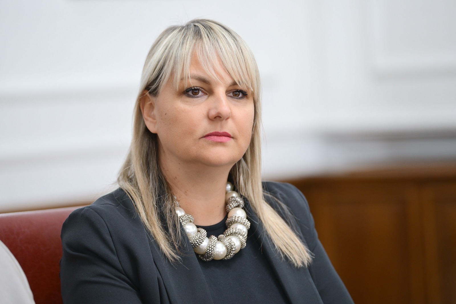 Savić-Banjac: Čudna je medijska evolucija Gorana Maričića