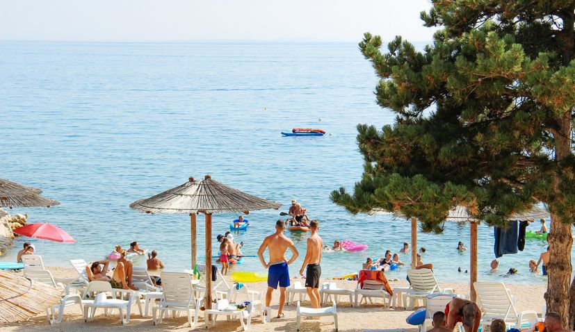 Austrian media warns tourists to Croatia after compass jellyfish spotted