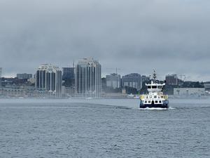 Search for missing newborn continues in Halifax neighbourhood: police