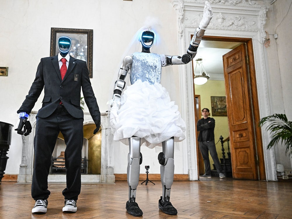 Humanoide Roboter: Hauptsache, die Geräte bleiben unter sich