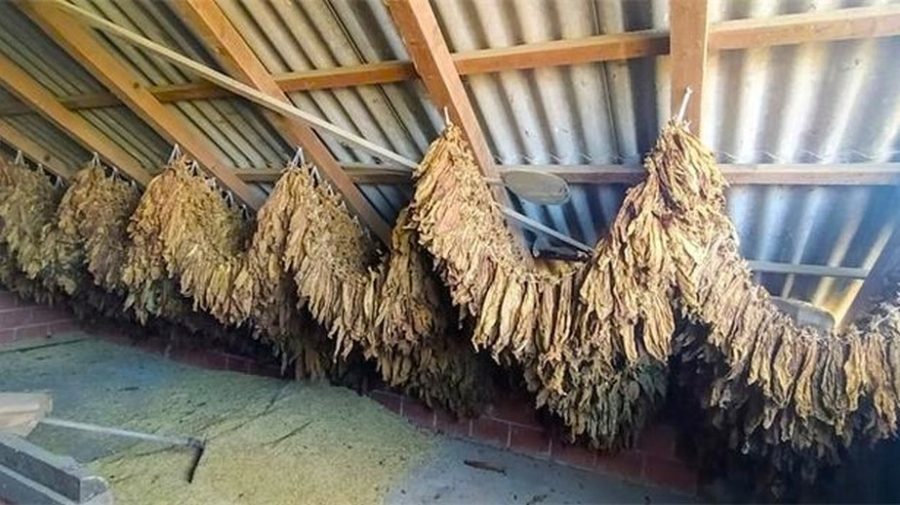Pali s više od tone škije