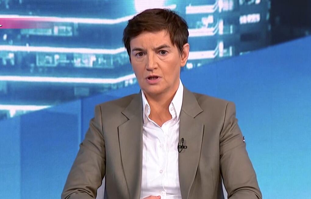 REŠILI SMO PROBLEM DOK SU ONI PROMOVISALI NASILJE Brnabić ukazala na licemerje blokadera: Ti isti, puni empatije prema ptićima, juče su tukli ljude motkama