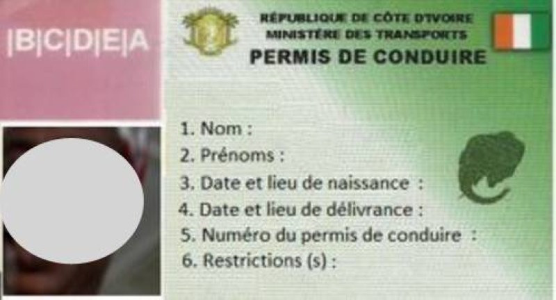Utilisation du téléphone au volant : La police retire le permis d’une influenceuse