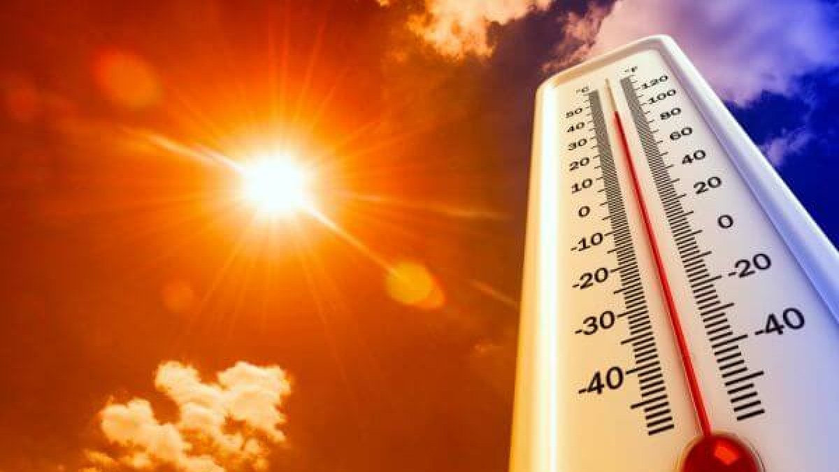 
                Calor tiene a los gringos como la arepa "candela por arriba y candela por abajo"
            