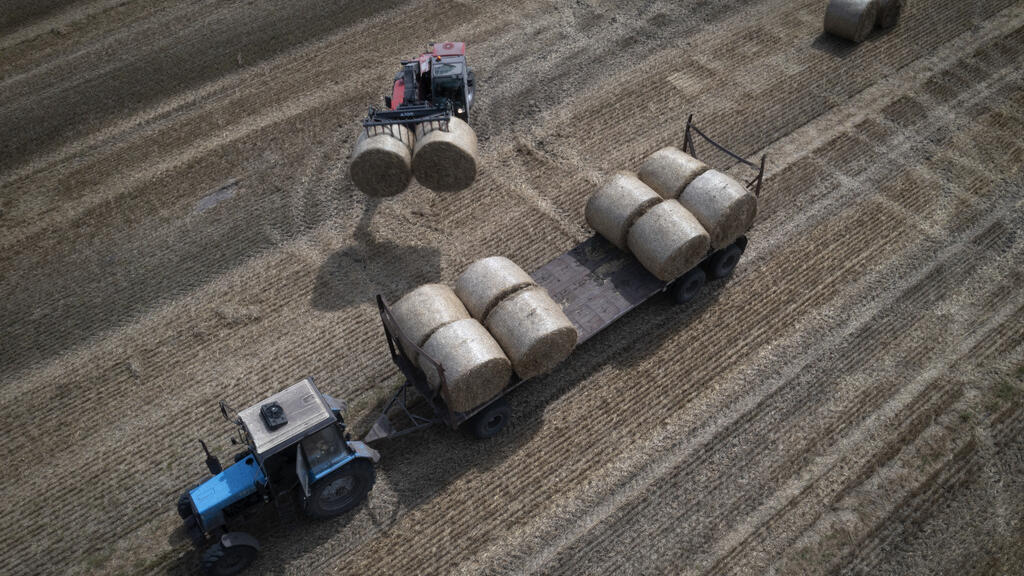 Ukraine strikes halt shipping on key wheat route as Russian fuel crisis deepens