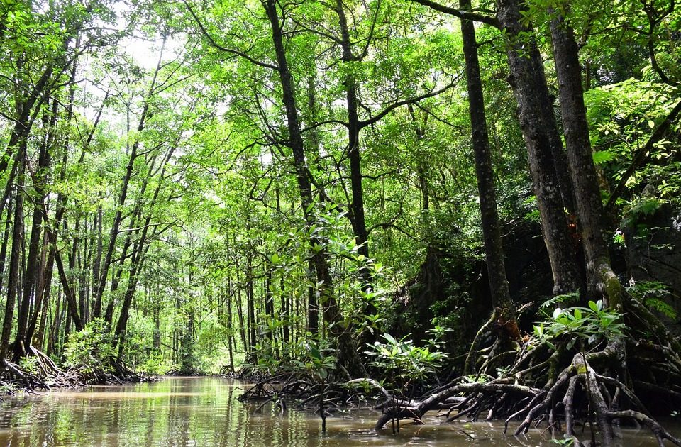 WWF: Srbija od sutra u ekološkom dugu