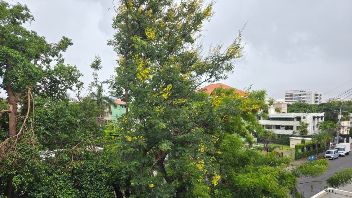 
                Vaguada y onda tropical amenazan con intensificar las lluvias durante la tarde
            